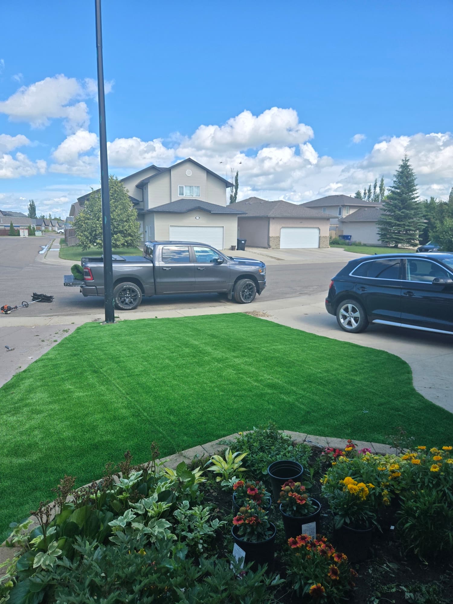 Front yard artificial turf — Kensington, Saskatoon